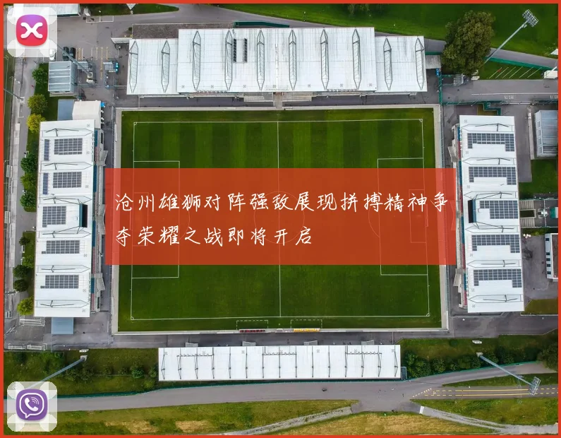 沧州雄狮对阵强敌展现拼搏精神争夺荣耀之战即将开启