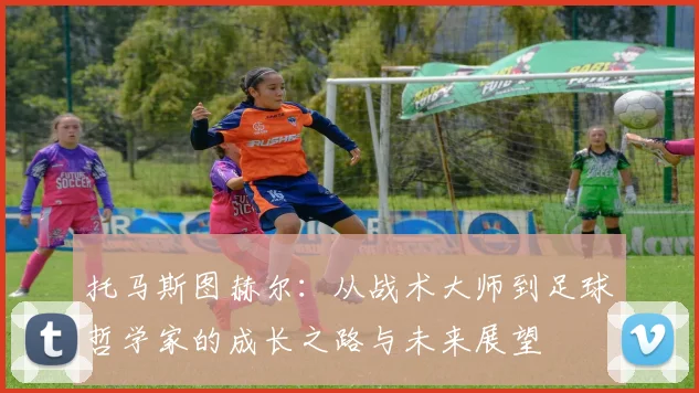 托马斯图赫尔：从战术大师到足球哲学家的成长之路与未来展望
