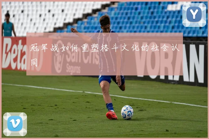 冠军战如何重塑格斗文化的社会认同