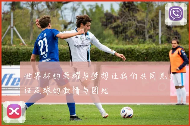 世界杯的荣耀与梦想让我们共同见证足球的激情与团结